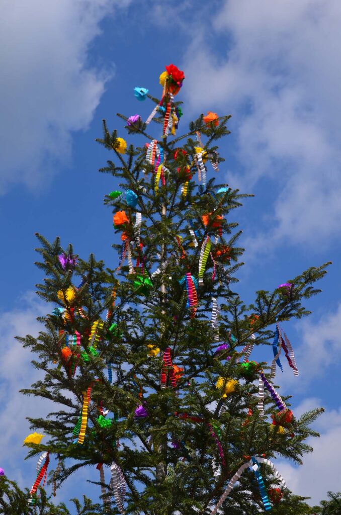 Maibaum am Roten Platz