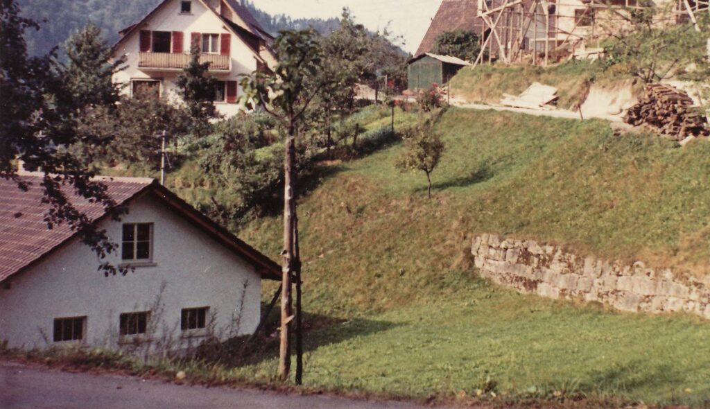 Rückansicht neuer Hummelstall 1961