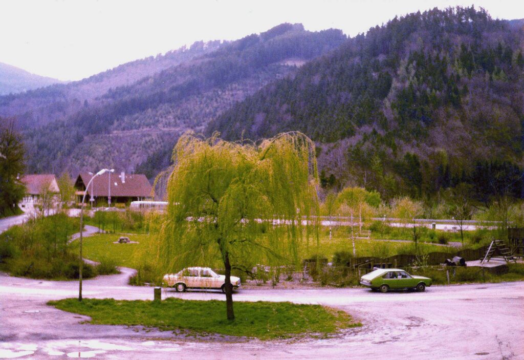 Blick auf die Parkanlage