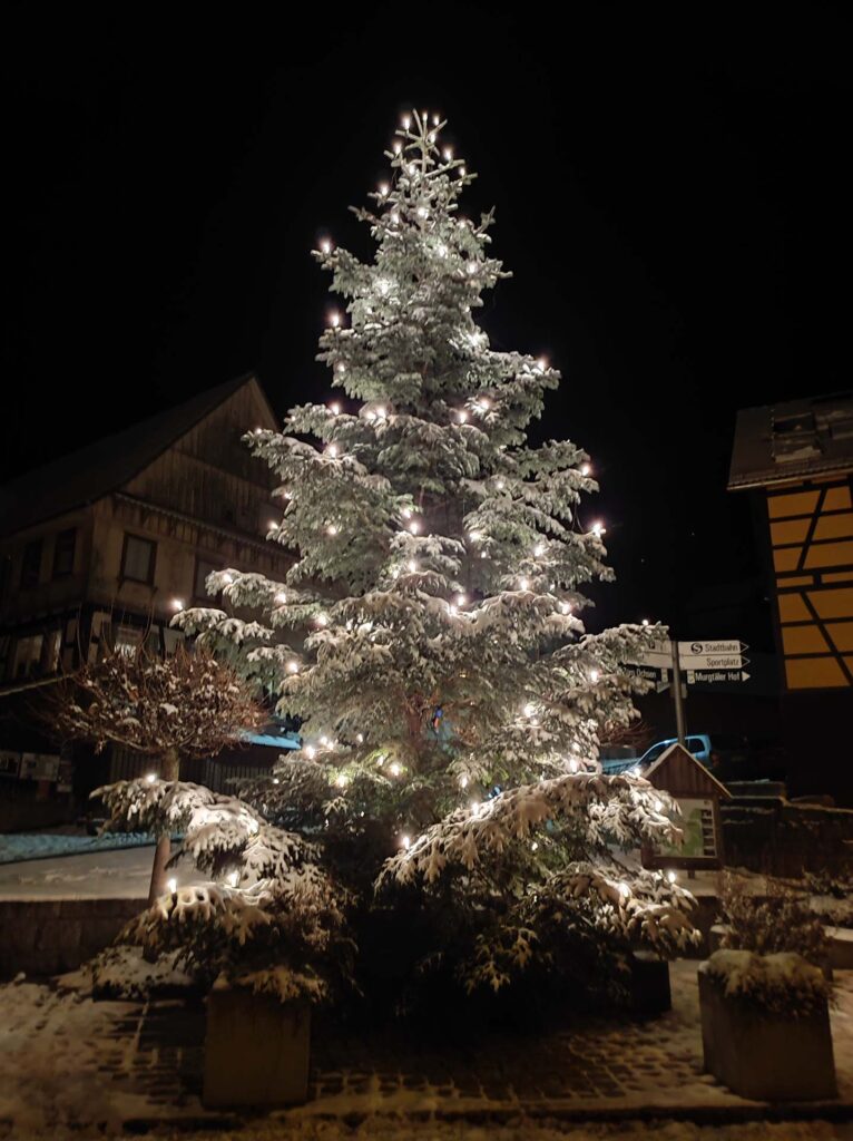 Weihnachtsbaum am Steinplatz