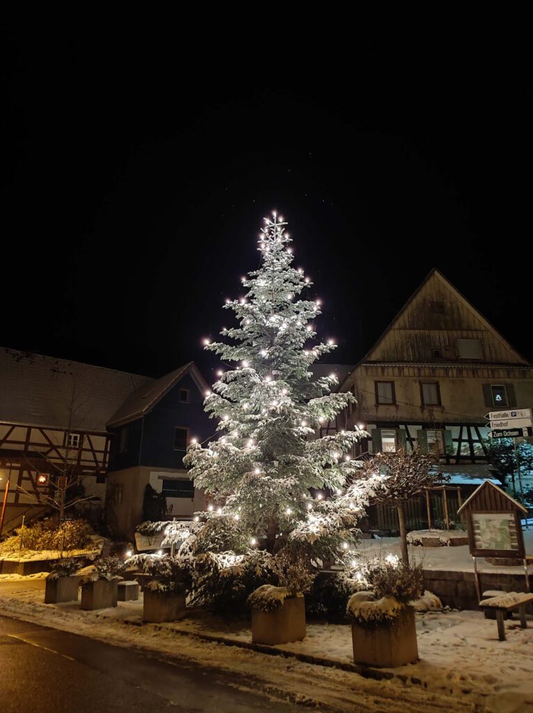 Weihnachtsbaum am Steinplatz